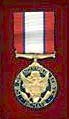 Distinguished Service Medal